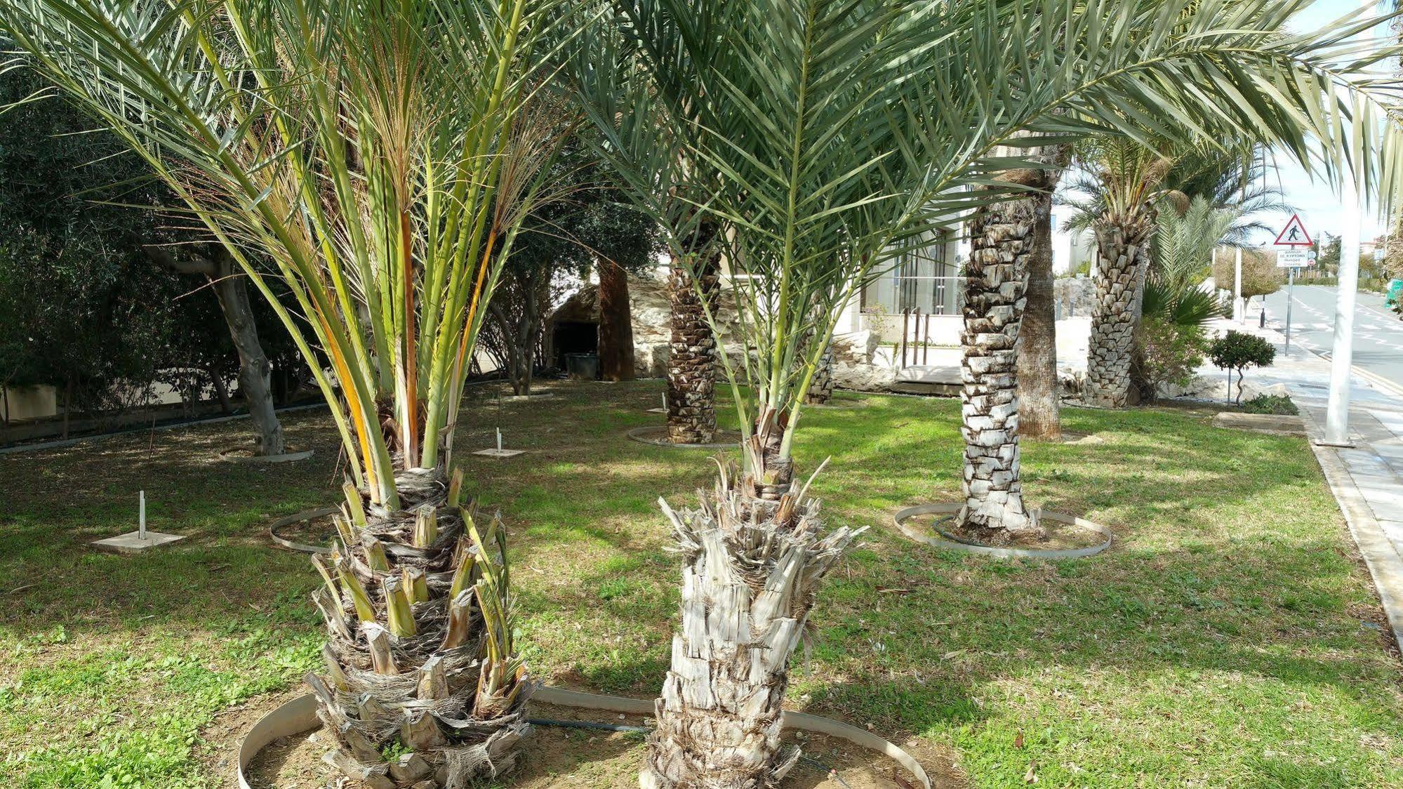 Paphos King'S Holiday Apartments מראה חיצוני תמונה